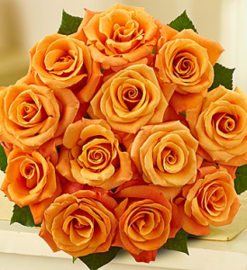 Orange Roses