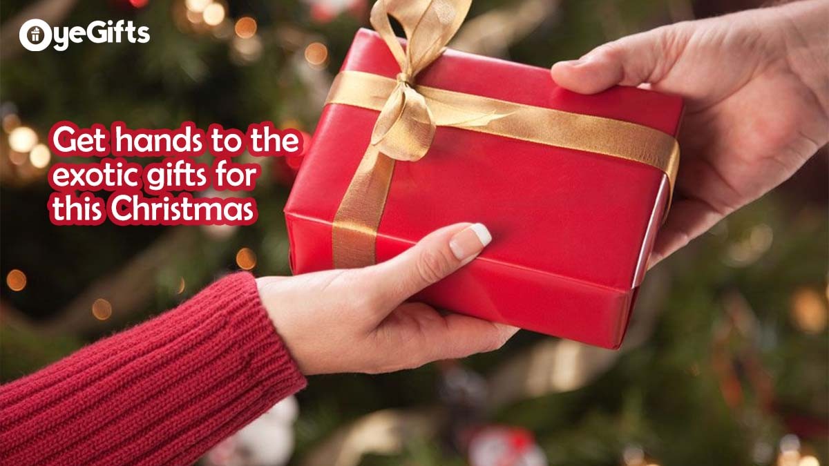 Get hands to the exotic gifts for this Christmas!