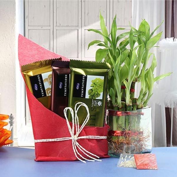 Prosperous Bamboo Surprise