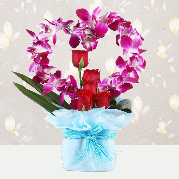 Orchids