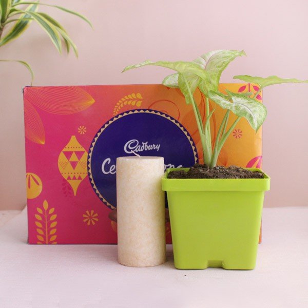 Best Diwali Gifts Wishes