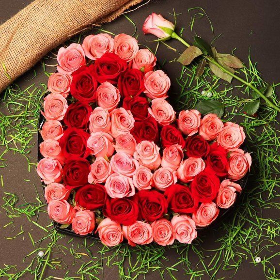 Heart Shaped Roses for Valentine's Day Gifts