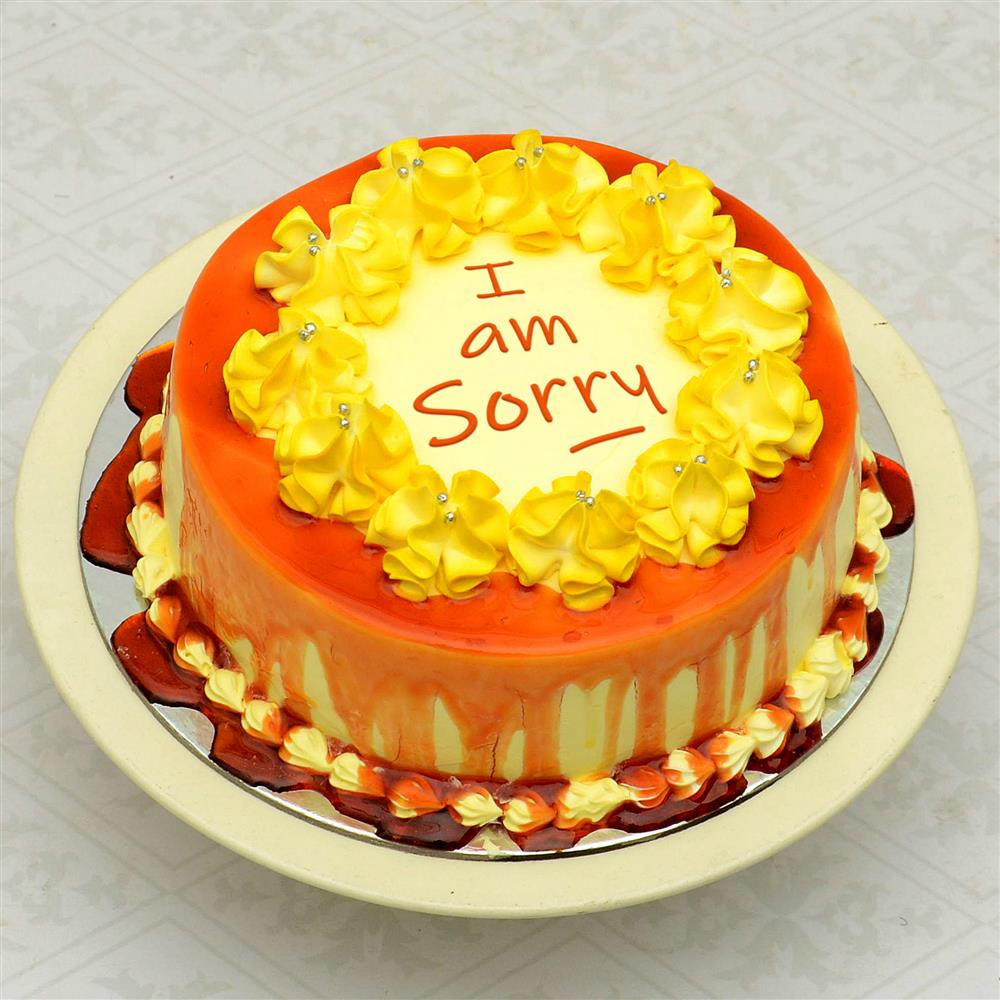 i am sorry cake