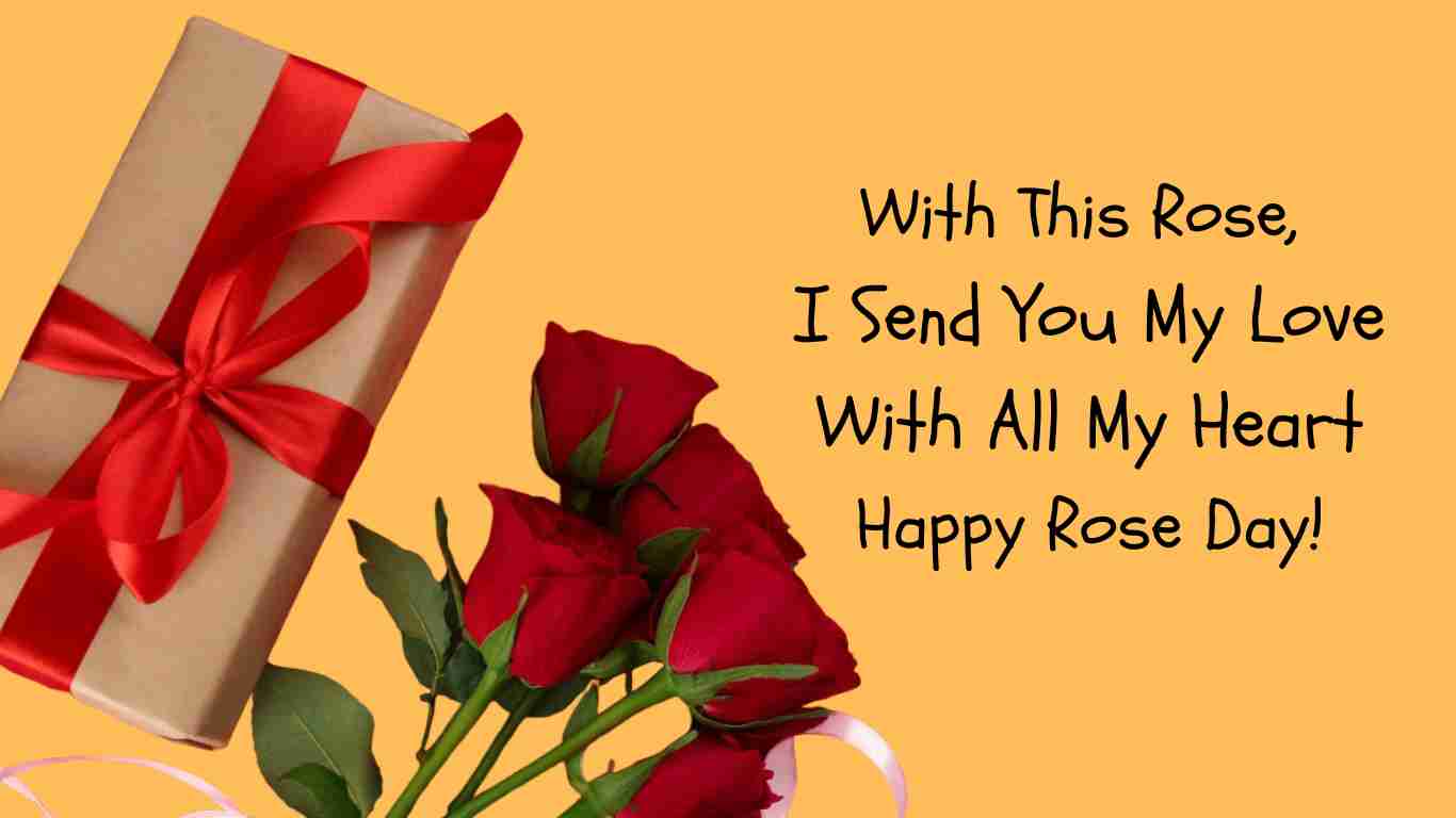Final Romantic Rose